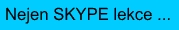 skype-lekce